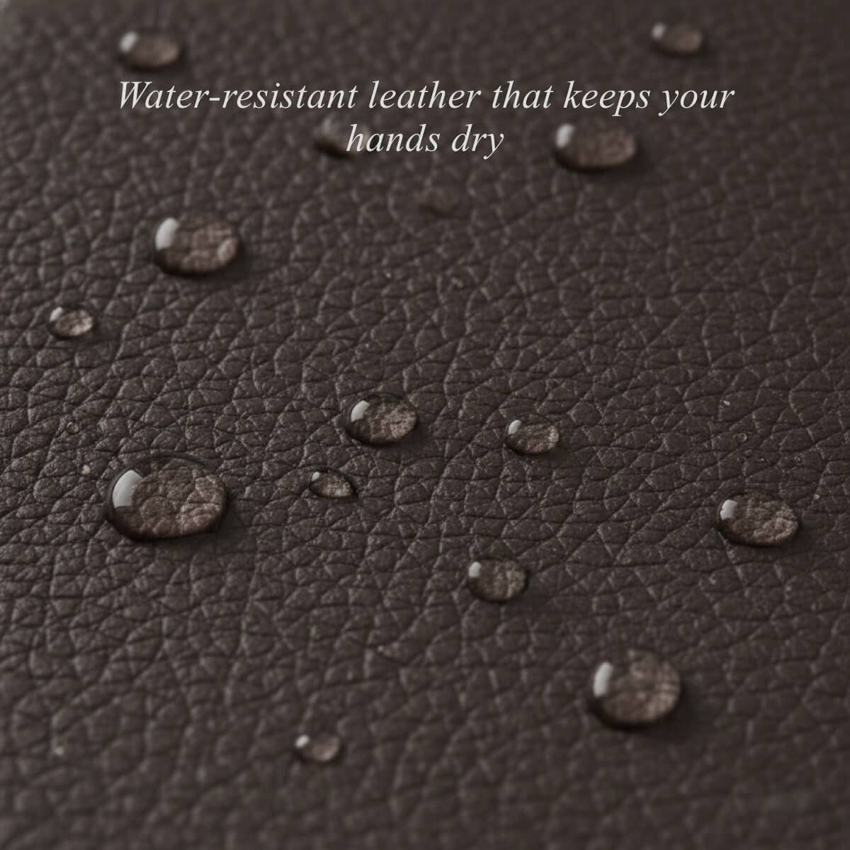 Premium Leather Gloves