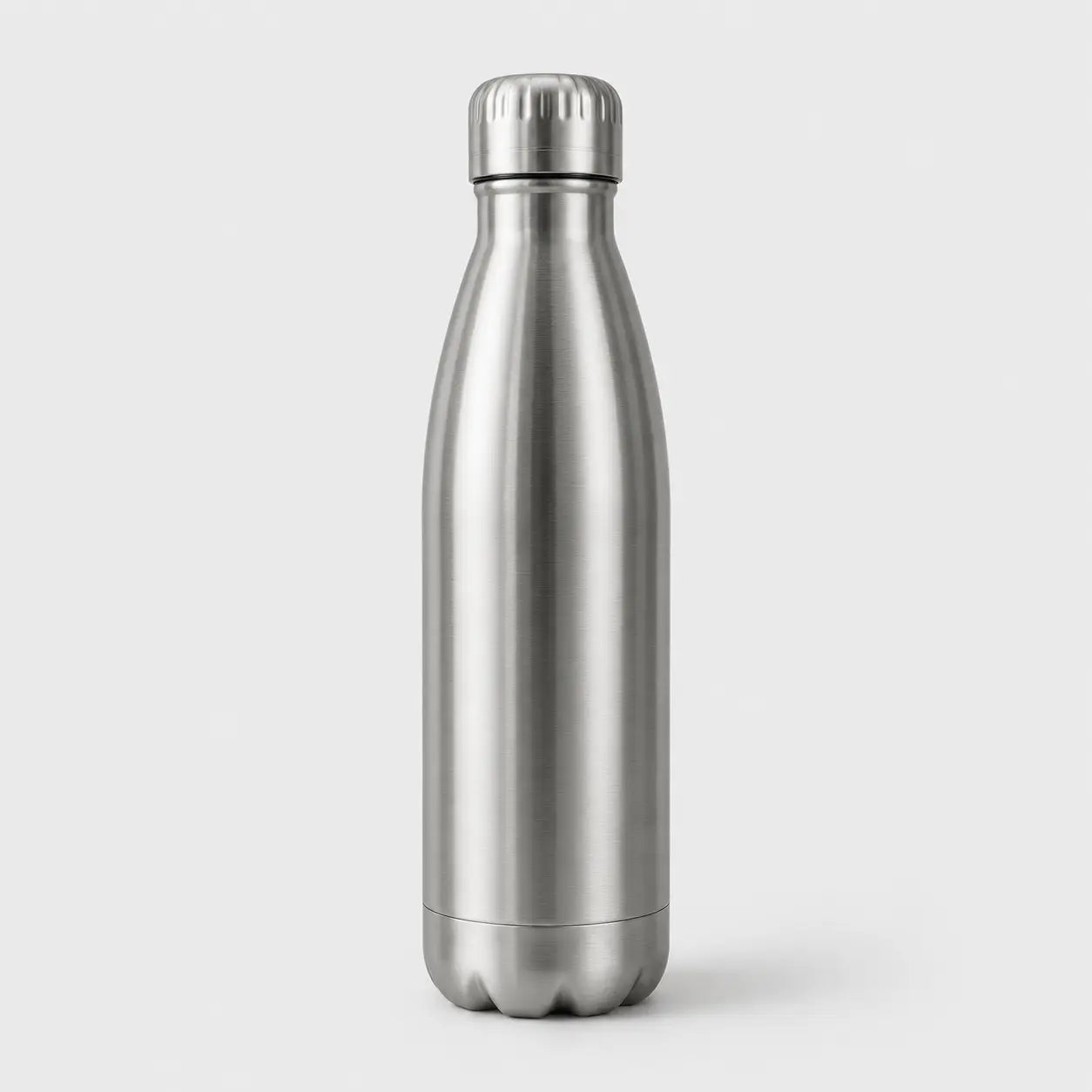 Insulated Water Bottle DOMINANCE