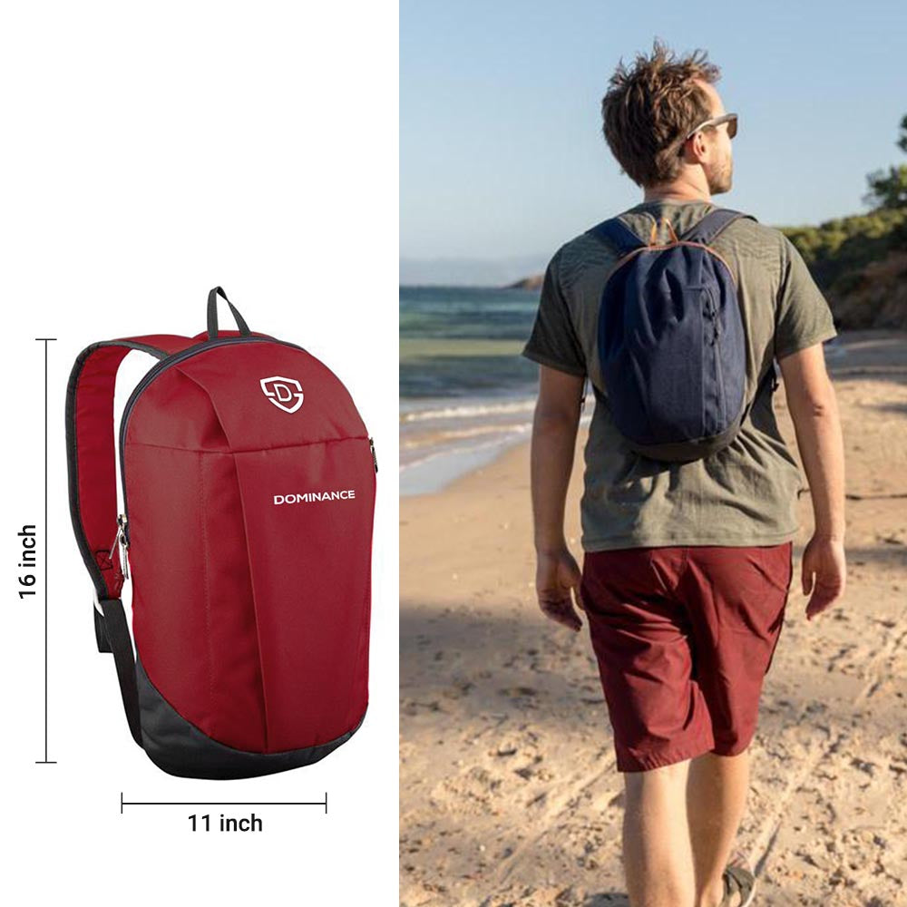 10-L Dominance Marmot Backpack