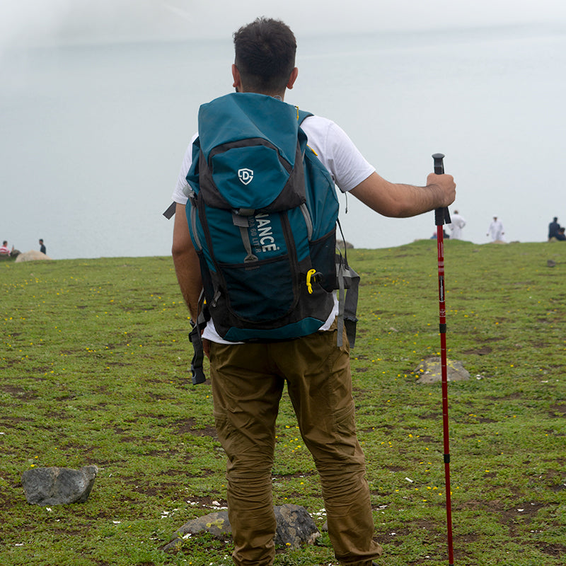 Anti-Shock Trekking Pole Stick (Single)